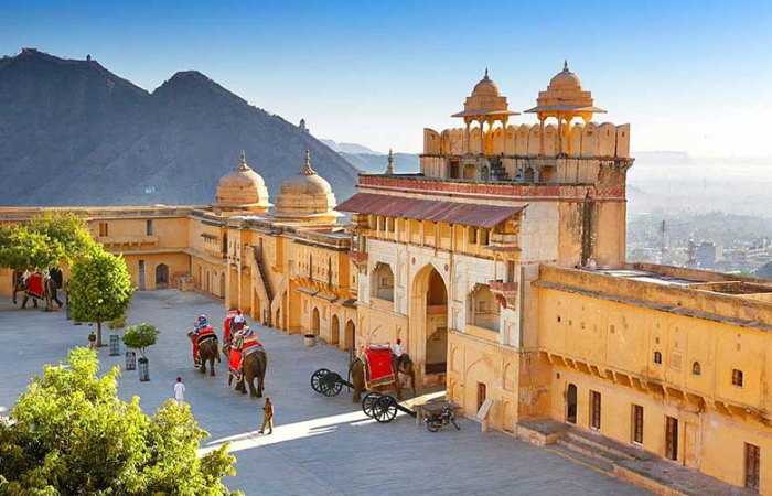 Guest with Travelogy India enjoying Elephant Ride, Jaipur